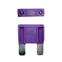 Purple 100A maxi blade fuse showing top amperage rating and side profile with silver terminals