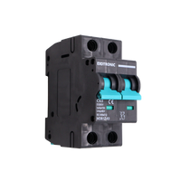 Angled side view of Exotronic 63A 2-Pole DC Circuit Breaker showing teal switches and 63A ratings