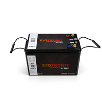 Front view of the Exotronic 12.8V 300Ah battery with rope handles extended on both sides