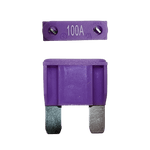 Exotronic Maxi Blade Fuse 100A Main Image