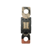 Exotronic Mega/AMG/ANM Fuse 60A Main Image