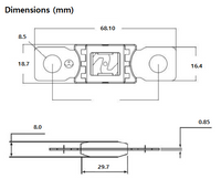 Exotronic Mega/AMG/ANM Fuse 80A 2