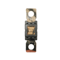Exotronic Mega/AMG/ANM Fuse 100A Main Image