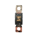 Exotronic Mega/AMG/ANM Fuse 200A Main Image