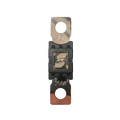 Exotronic Mega/AMG/ANM Fuse 250A Main Image