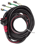 Wakespeed WS500 P-type wiring harness with CAN bus in harness - extra length tails Main Image