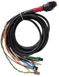 Wakespeed WS500 P-type wiring harness with CAN bus in harness Main Image