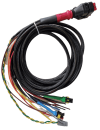 Wakespeed WS500 P-type wiring harness with CAN bus in harness Main Image