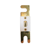 Top-down view of 300A ANL fuse showing gold-plated terminals and white ceramic housing