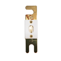 Top view of 40A ANL fuse with gold-plated terminals and clear inspection window