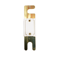 Rear view of 40A ANL fuse showing solid white ceramic housing and rivet points
