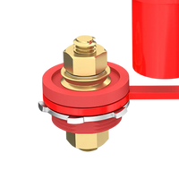 Close-up of brass M10 terminal stud and serrated locking washer on red insulated base