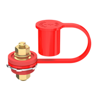 Red bulkhead battery post with M10 stud and open protective boot showing brass terminals and locking washer