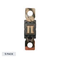 Exotronic 80A Mega/AMG/ANM Fuse - 5 pack