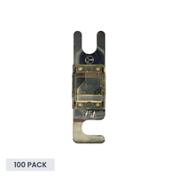 Exotronic 175A Midi/AMI/ANS Fuse - 100 pack