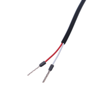 Close-up of red and white wire leads with stripped ends for connection