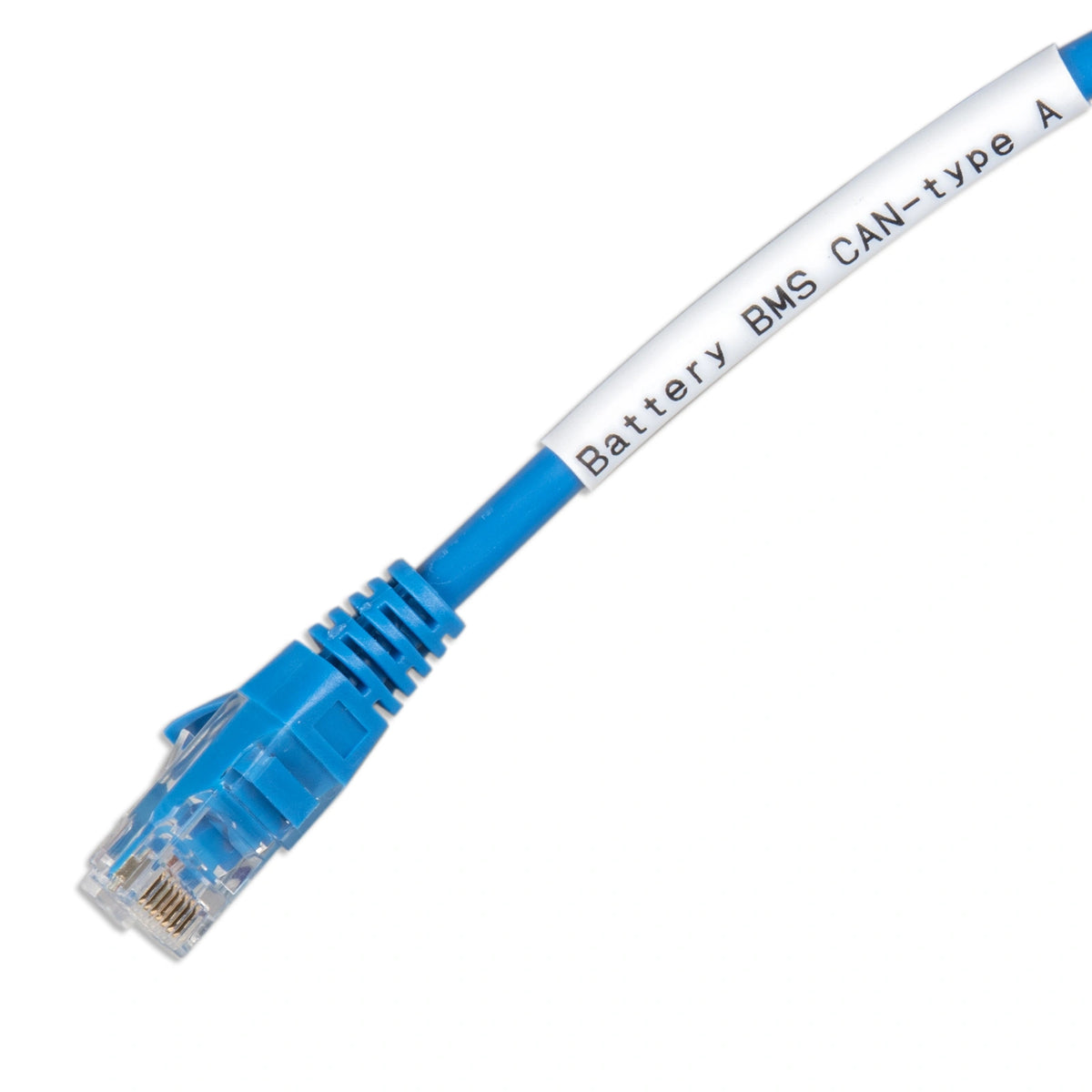 Close-up of a blue RJ45 connector on a cable with a white label marked Battery BMS CAN-type A