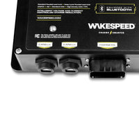 Detail of the CANbus and Harness connection labels on the regulator's lower edge