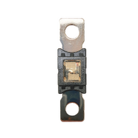 Exotronic Mega/AMG/ANM Fuse 200A