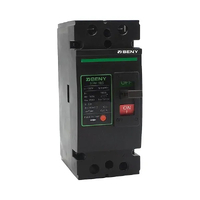 ZJ Beny 160A 2-Pole DC Circuit Breaker with Enclosure