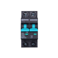 Exotronic 10A 2-Pole DC Circuit Breaker (MCB)