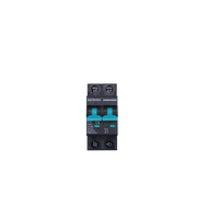 Exotronic 40A 2-Pole DC Circuit Breaker (MCB)