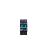 Exotronic 63A 2-Pole DC Circuit Breaker (MCB)