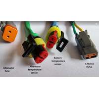 Wakespeed WS500 P-type wiring harness with CAN bus in harness - extra length tails