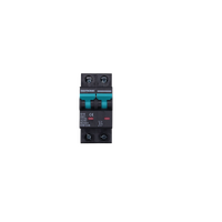 Exotronic 63A 2-Pole DC Circuit Breaker (MCB)