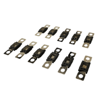 Exotronic Mega/AMG/ANM Fuse 200A