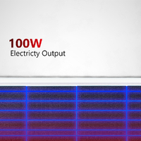 Sunman eArc 100W Flexible Solar Panel - High Efficiency Cut Cells