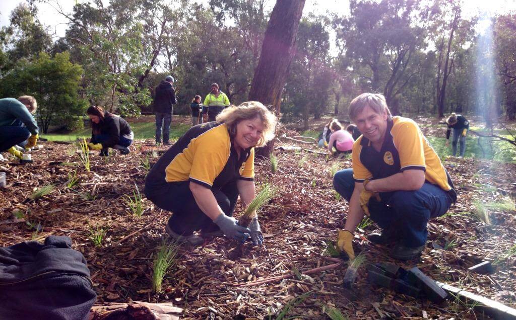 Corporate tree planting day 2015 at Knox
