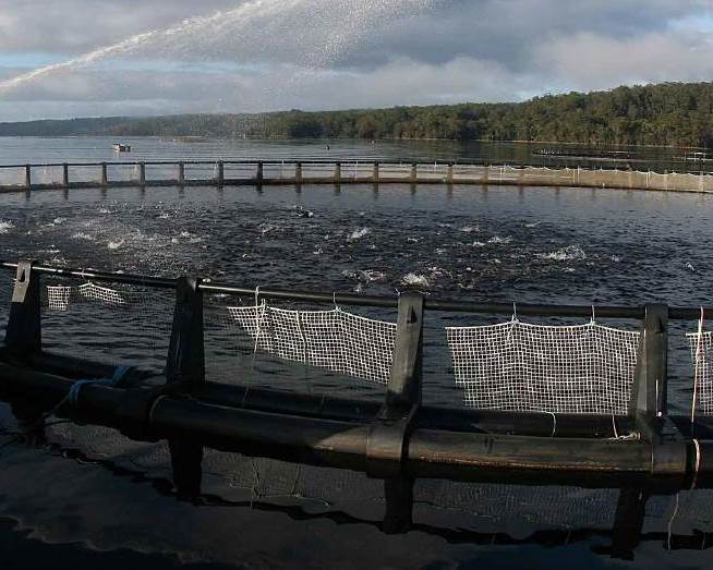 Fish farms can use lightweight solar for power