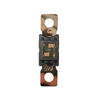 Exotronic Mega/AMG/ANM Fuse 500A