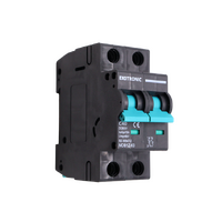 Exotronic 40A 2-Pole DC Circuit Breaker (MCB)