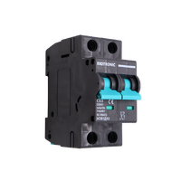 Exotronic 63A 2-Pole DC Circuit Breaker (MCB)