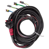 Wakespeed WS500 P-type wiring harness with CAN bus in harness - extra length tails