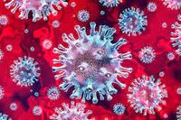 Coronavirus pandemic impacts Australia