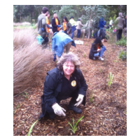 Solar 4 RVs contributes to Corporate National Tree Day  