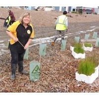 Volunteering at National Tree Day Event