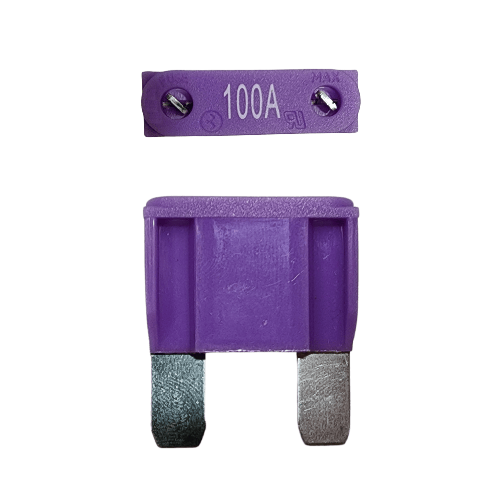 Purple 100A maxi blade fuse showing top amperage rating and side profile with silver terminals