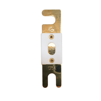 Top view of 125A ANL fuse with gold-plated terminals and white ceramic housing with inspection window