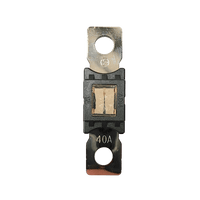Exotronic Mega/AMG/ANM Fuse 40A Main Image