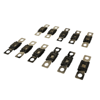 Exotronic Mega/AMG/ANM Fuse 60A 4