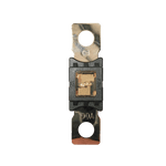 Exotronic Mega/AMG/ANM Fuse 100A Main Image