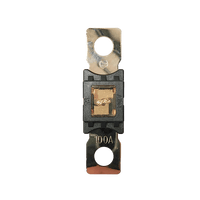 Exotronic Mega/AMG/ANM Fuse 100A Main Image