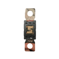 Exotronic Mega/AMG/ANM Fuse 200A Main Image