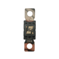Exotronic Mega/AMG/ANM Fuse 300A Main Image