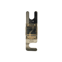 Exotronic Midi/AMI/ANS Fuse 60A Main Image