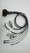 REC Active Balancing BMS Wiring Harness Main Image